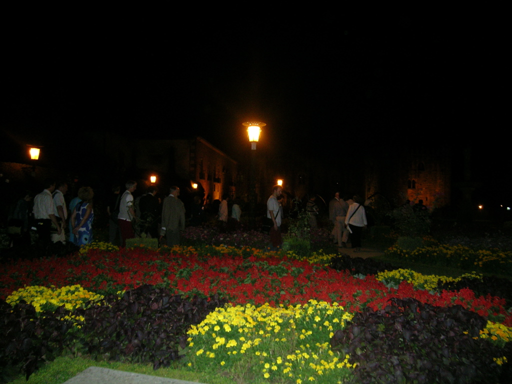 DSCN6355