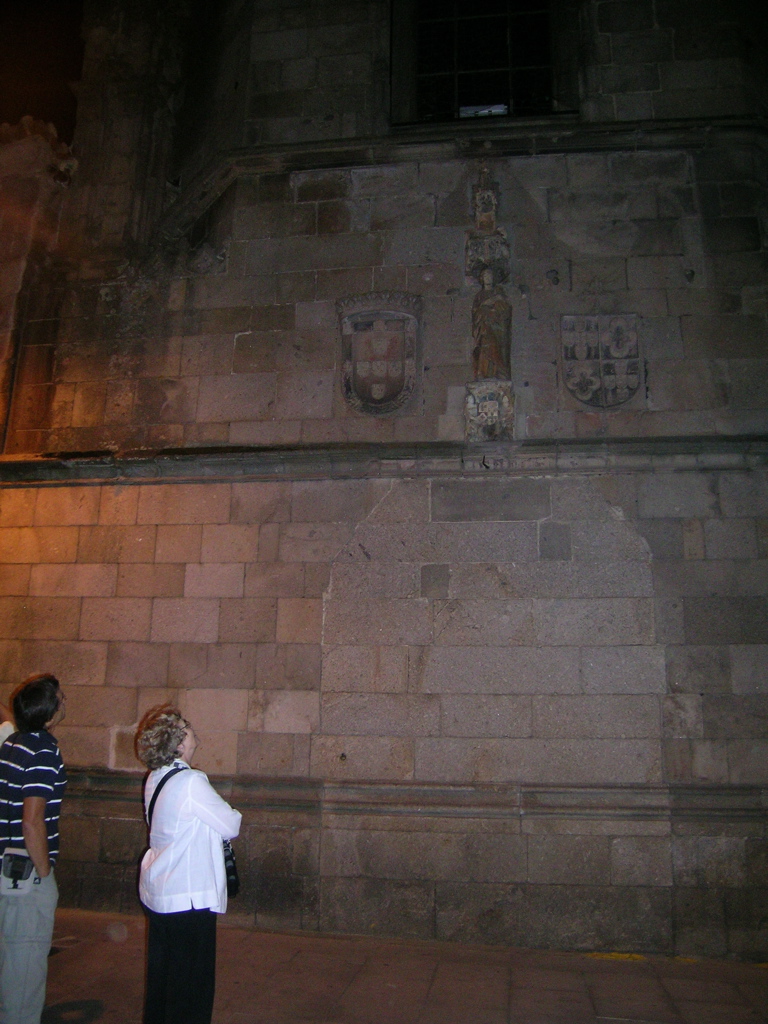 DSCN6377