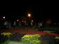 DSCN6355