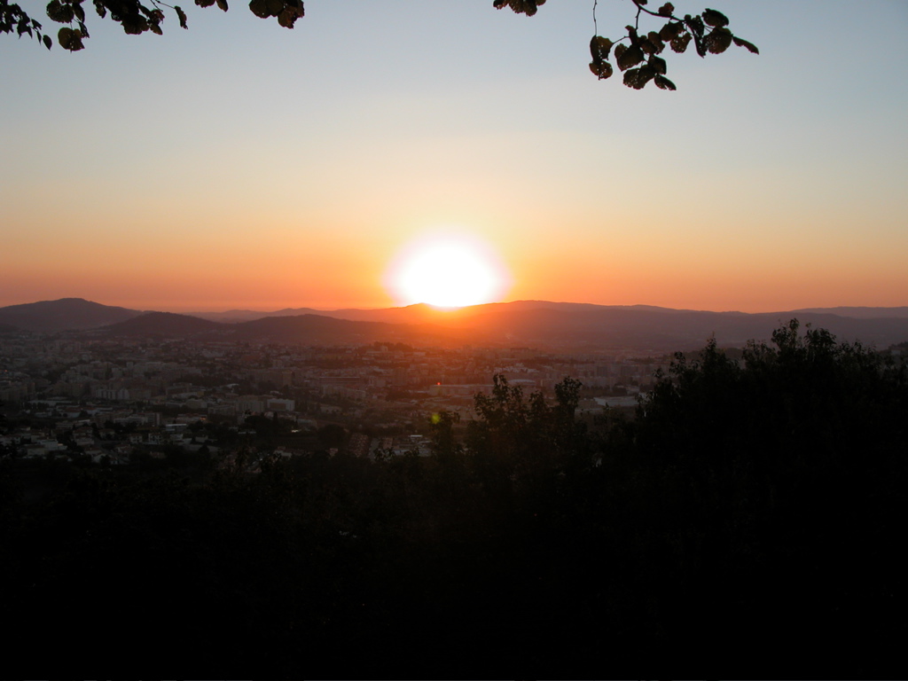 DSCN1316