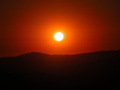 DSCN1317