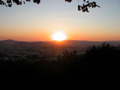 DSCN1316
