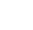 Instituto de Ciências da Terra (ICT)
