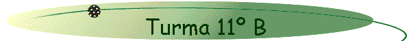Turma 11� B