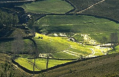 Lameiro